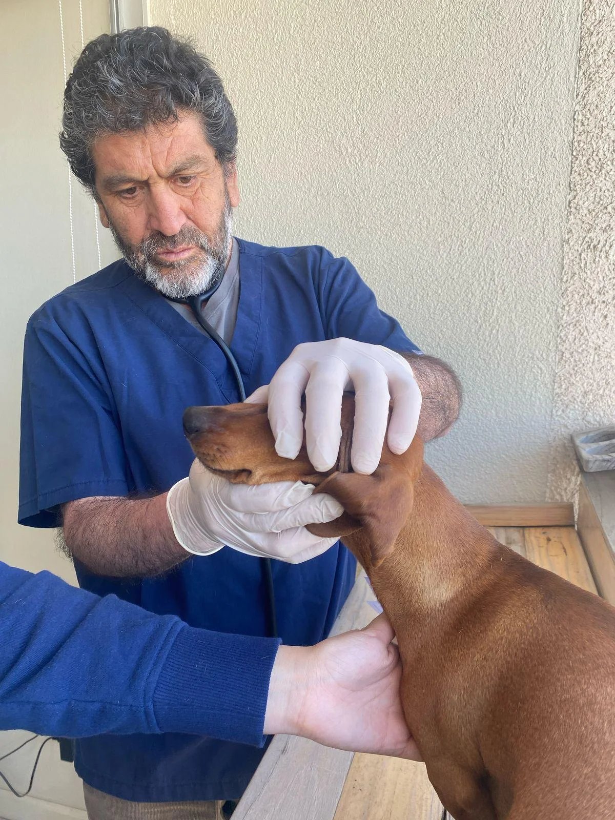 Consulta a Domicilio